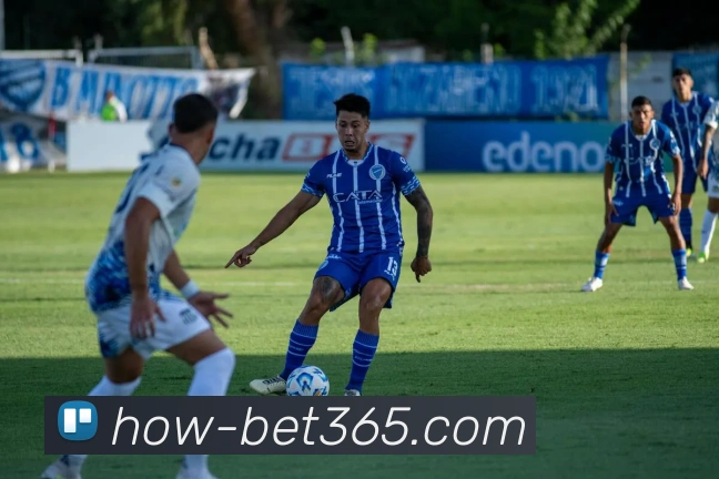 App Interface Preview